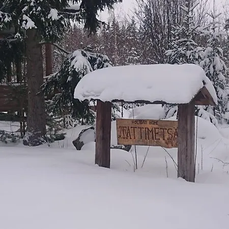 Holiday Tattimetsa Sysmä